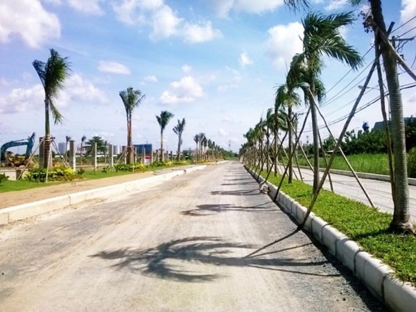 Cung đường tỷ đô Đào Trí