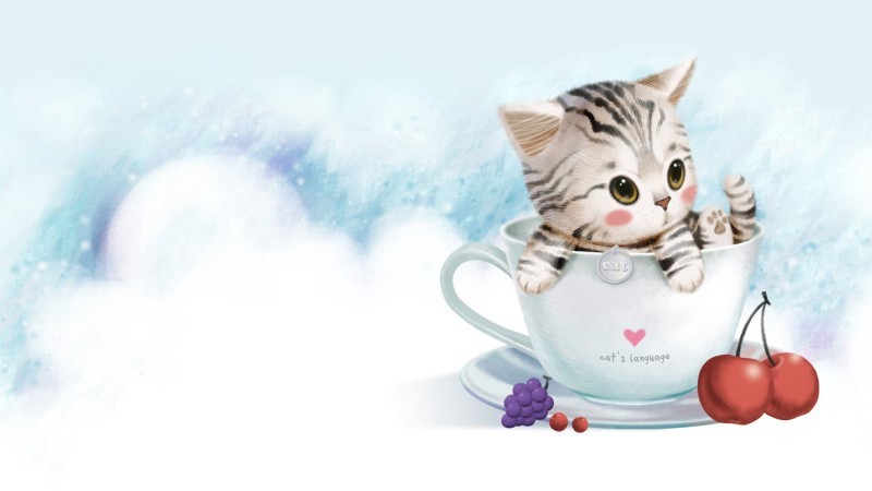 Tuổi Mẹo đại diện cho con Mèo