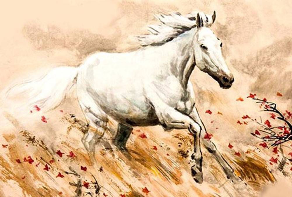 Người tuổi Ngọ có nhiều cung mệnh khác nhau